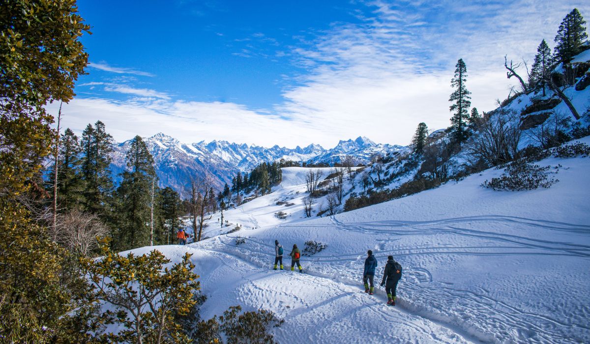Shimla-Manali Package