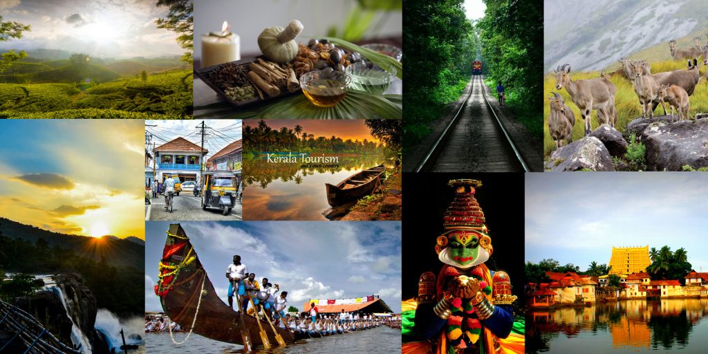 Book International and Domestic Flight Tickets